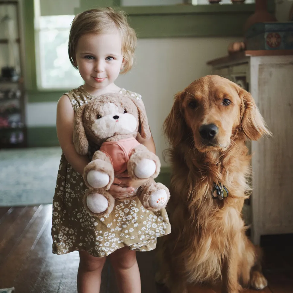 Sale Olli Ella Dinkum Dogs - Honey