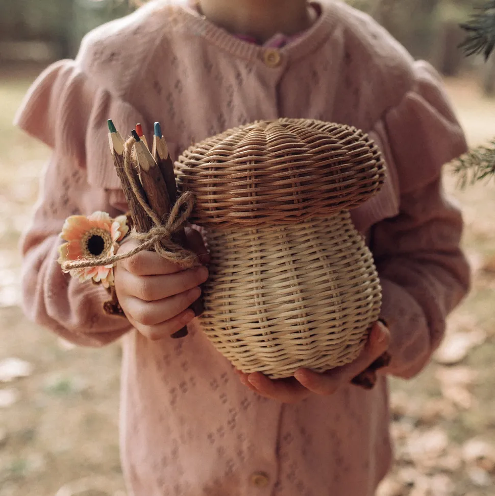 Fashion Olli Ella Porcini Basket